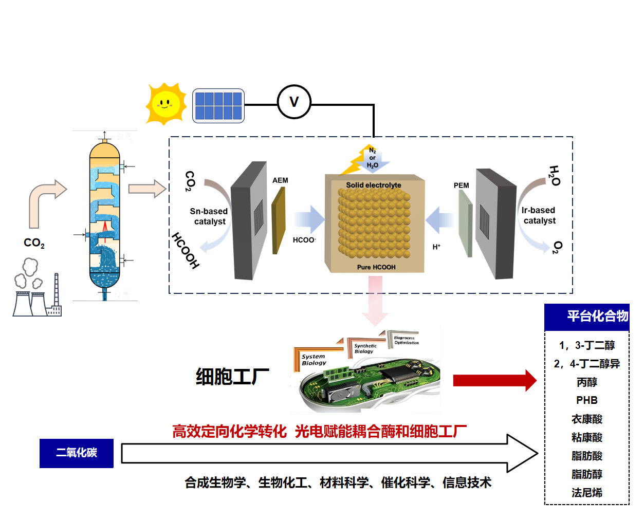 光/电驱动生物催化固碳