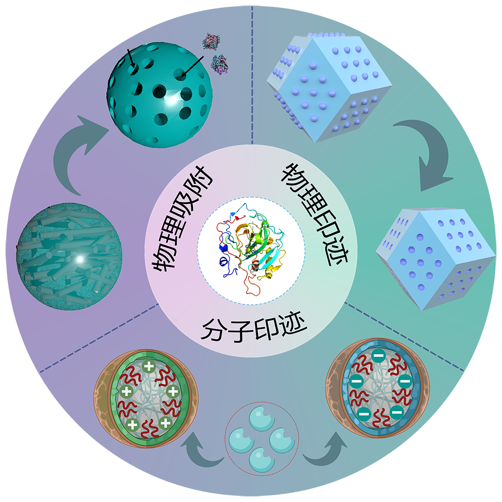 人工生物复合催化剂创制
